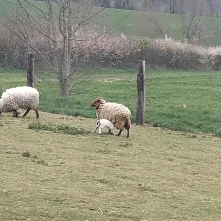 Frühstückspension Du Campreux 3*